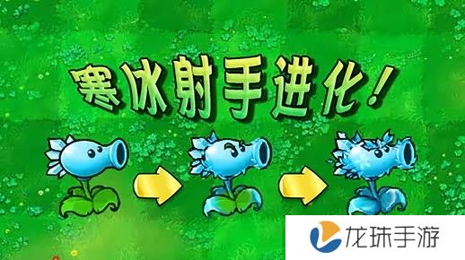 植物大战僵尸杂交版寒冰射手进化后怎么样